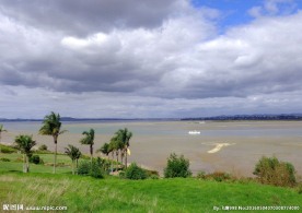 奥克兰海滨风光