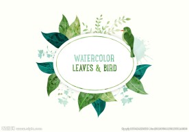 水彩叶子卡片