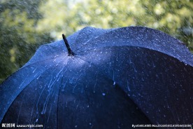 雨伞