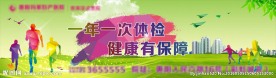 体检
