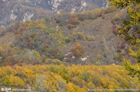 秋日山峦