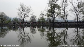 风景树