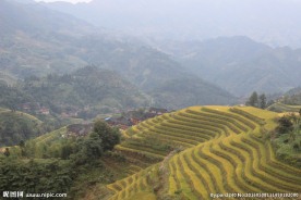 龙脊梯田