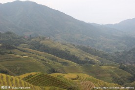 龙脊梯田