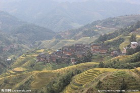 龙脊梯田