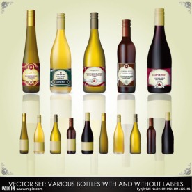 葡萄酒酒瓶 设计