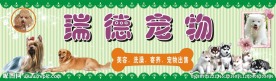瑞德宠物