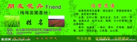 花卉名片