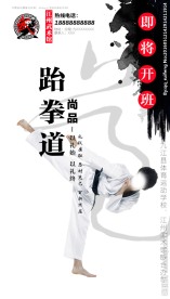 跆拳道海报