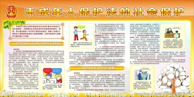 未成年人保护法的社会保护