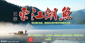 东江湖鱼