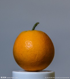 橙子静物