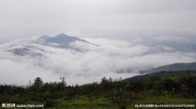 高山云海