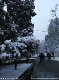 冬季公园