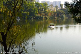 湖中的游船