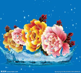 牡丹花