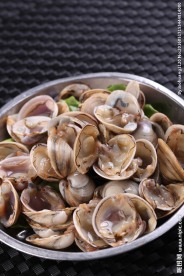 鲜贝壳