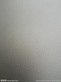 皮纹