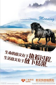 企业文化