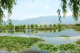 湿地公园