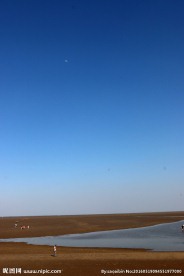 蓝天下的沿海滩涂