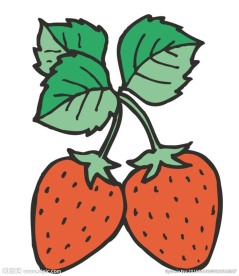草莓
