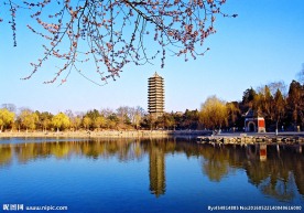 北京大学