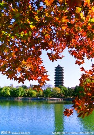 北京大学