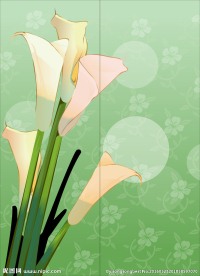 油画百合