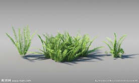 草模型
