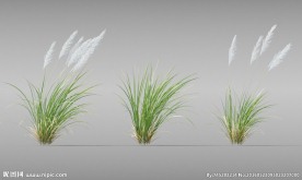 草模型