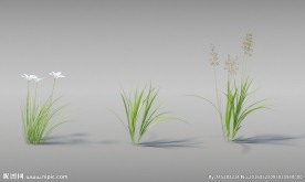草模型