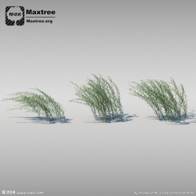 草模型