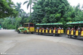 观光车