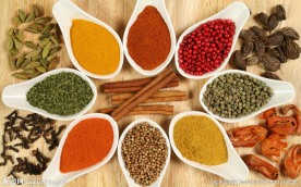 各种进口调料调味品