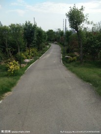 道路 绿地