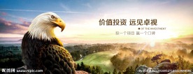 投资网站banner