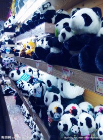 熊猫玩具