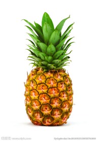 菠萝