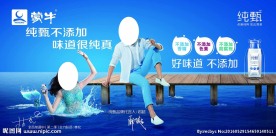 纯甄 蒙牛海报