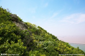 绿色山坡