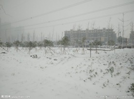雪景