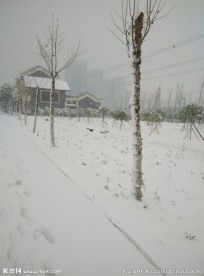 孝雅书院