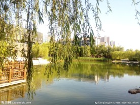 河北师大风景图