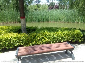 河北师大风景图