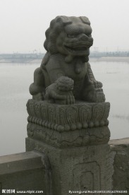 卢沟桥石狮