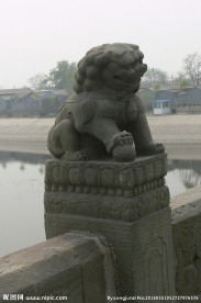 卢沟桥石狮