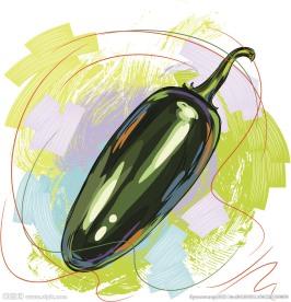 蔬菜 插画