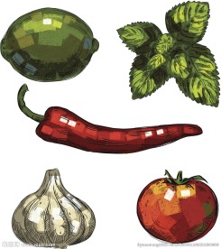 蔬菜 插画