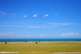 青海